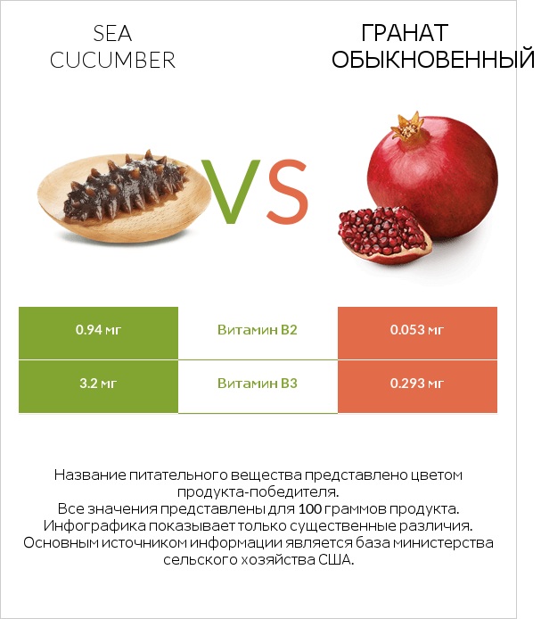 Sea cucumber vs Гранат обыкновенный infographic