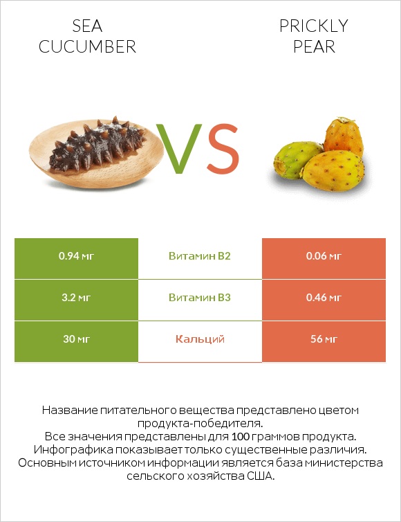 Sea cucumber vs Prickly pear infographic