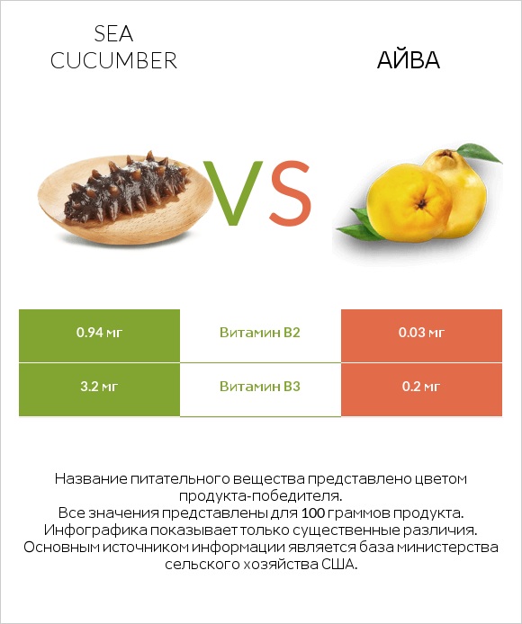 Sea cucumber vs Айва infographic