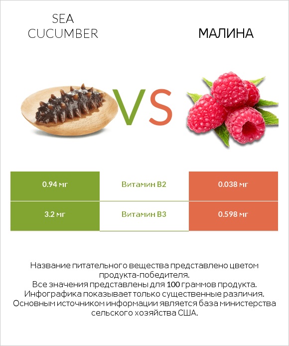 Sea cucumber vs Малина infographic