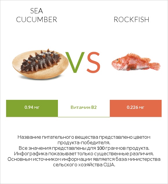 Sea cucumber vs Rockfish infographic