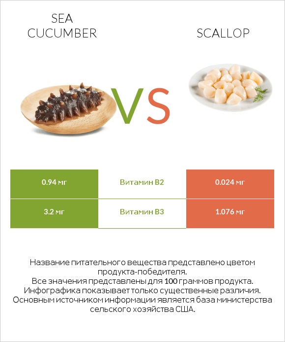 Sea cucumber vs Scallop infographic