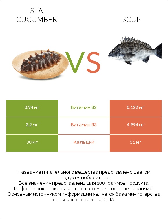 Sea cucumber vs Scup infographic