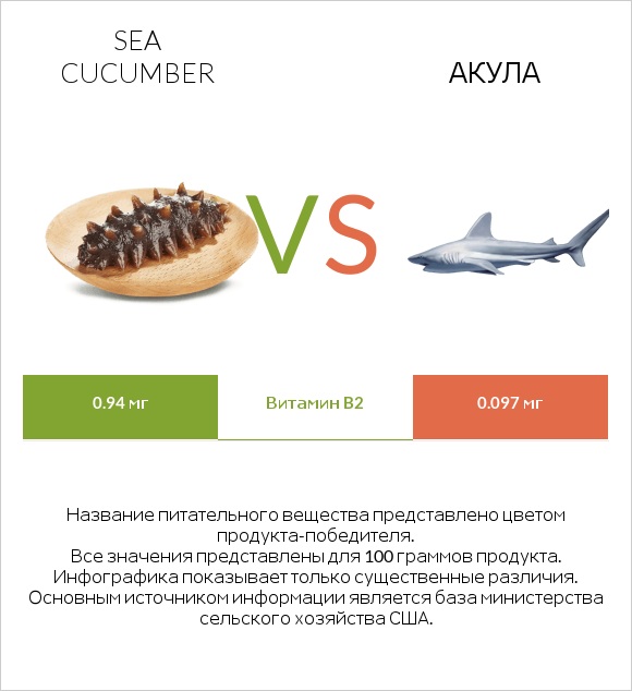 Sea cucumber vs Акула infographic