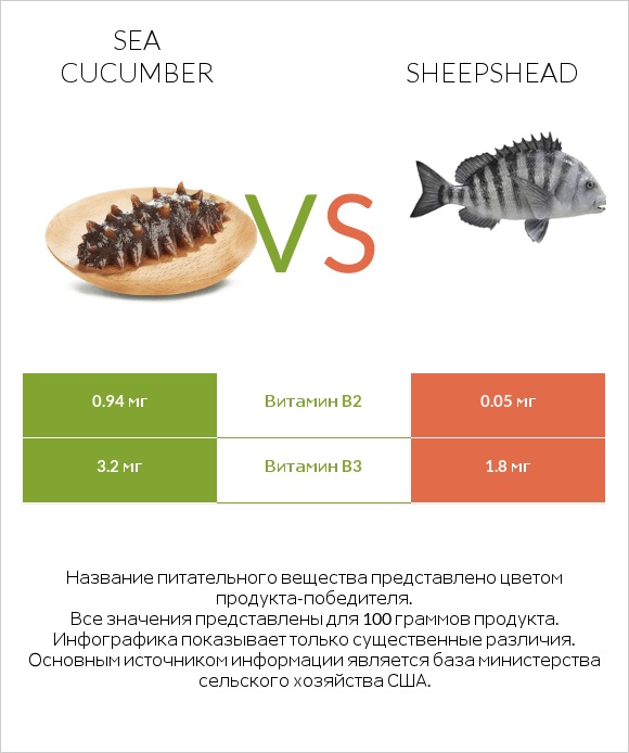 Sea cucumber vs Sheepshead infographic