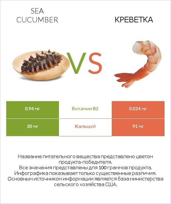 Sea cucumber vs Креветка infographic