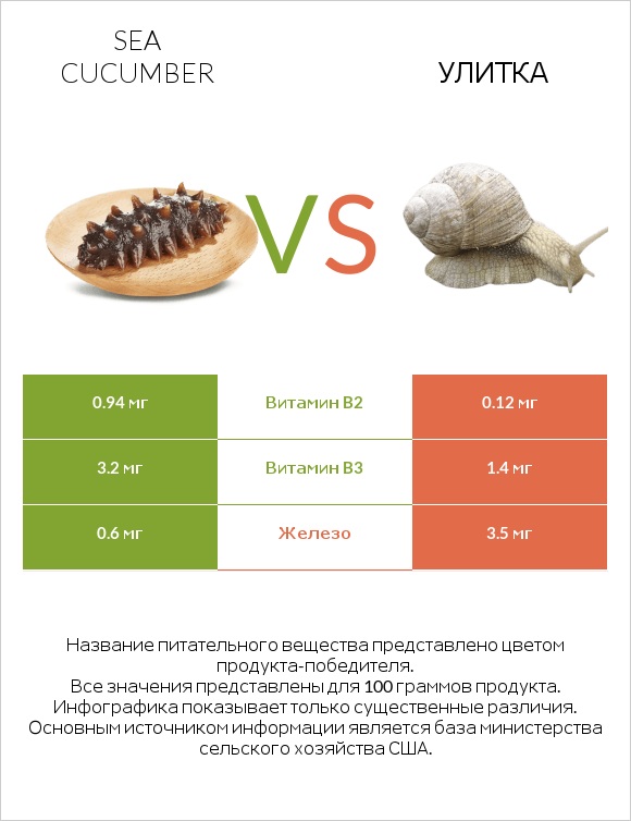 Sea cucumber vs Улитка infographic