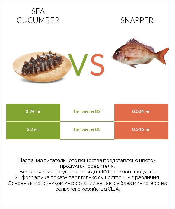 Sea cucumber vs Snapper infographic