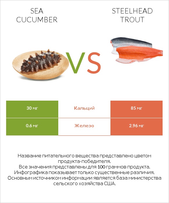 Sea cucumber vs Steelhead trout infographic