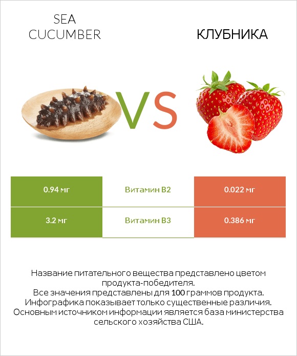 Sea cucumber vs Клубника infographic
