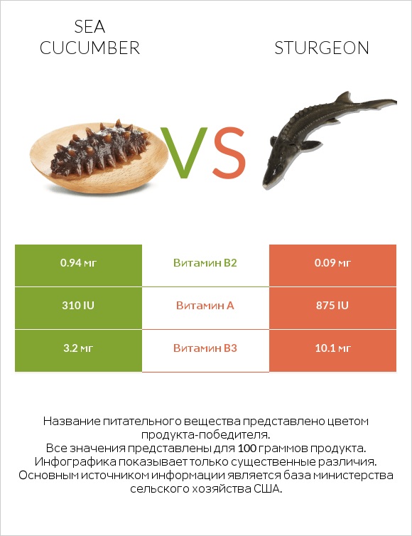 Sea cucumber vs Sturgeon infographic