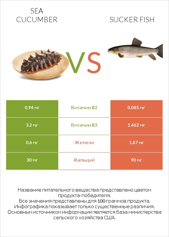 Sea cucumber vs Sucker fish infographic