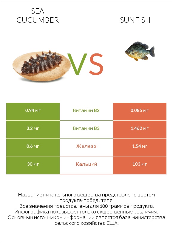 Sea cucumber vs Sunfish infographic