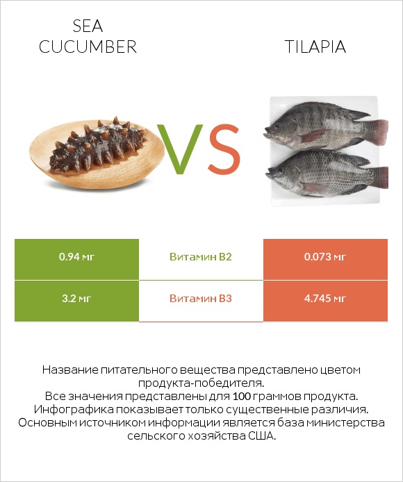 Sea cucumber vs Tilapia infographic