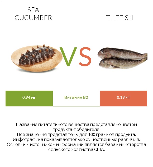 Sea cucumber vs Tilefish infographic