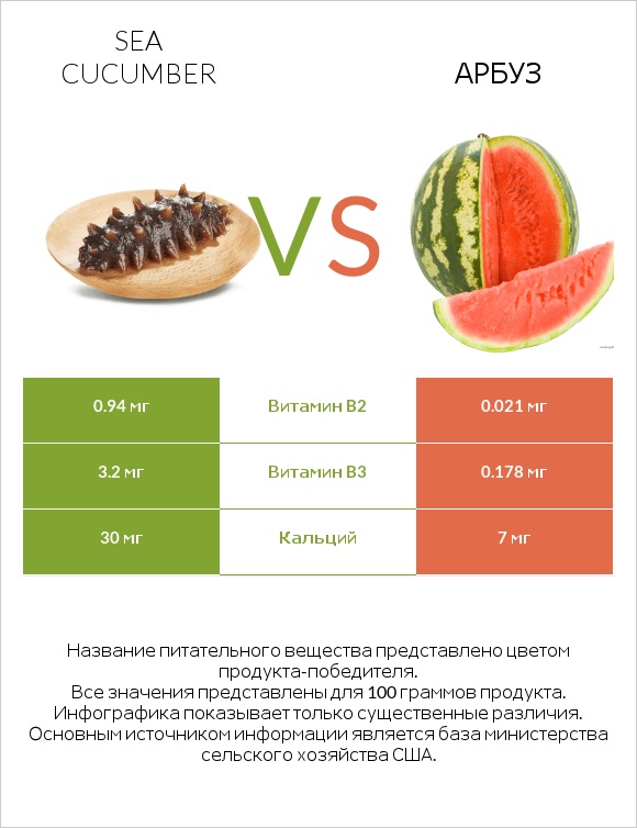 Sea cucumber vs Арбуз infographic