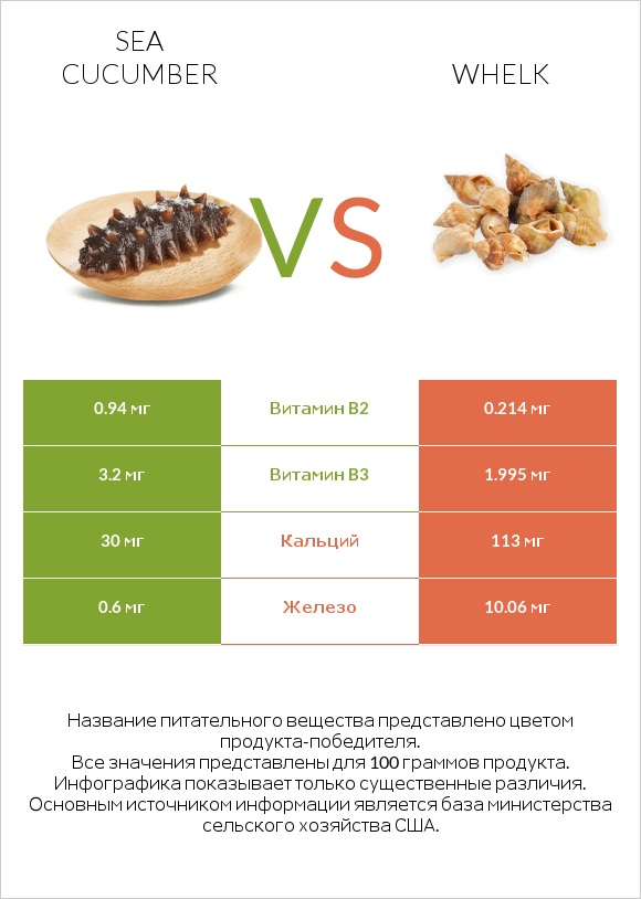 Sea cucumber vs Whelk infographic