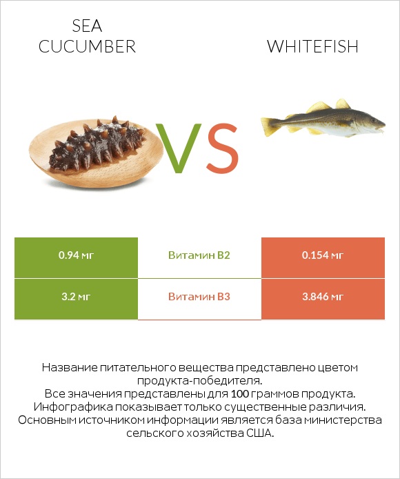 Sea cucumber vs Whitefish infographic