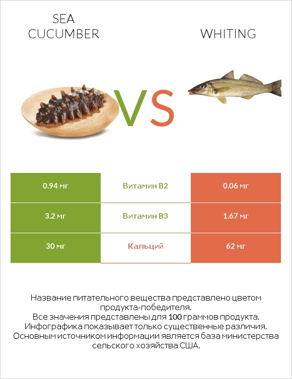 Sea cucumber vs Whiting infographic