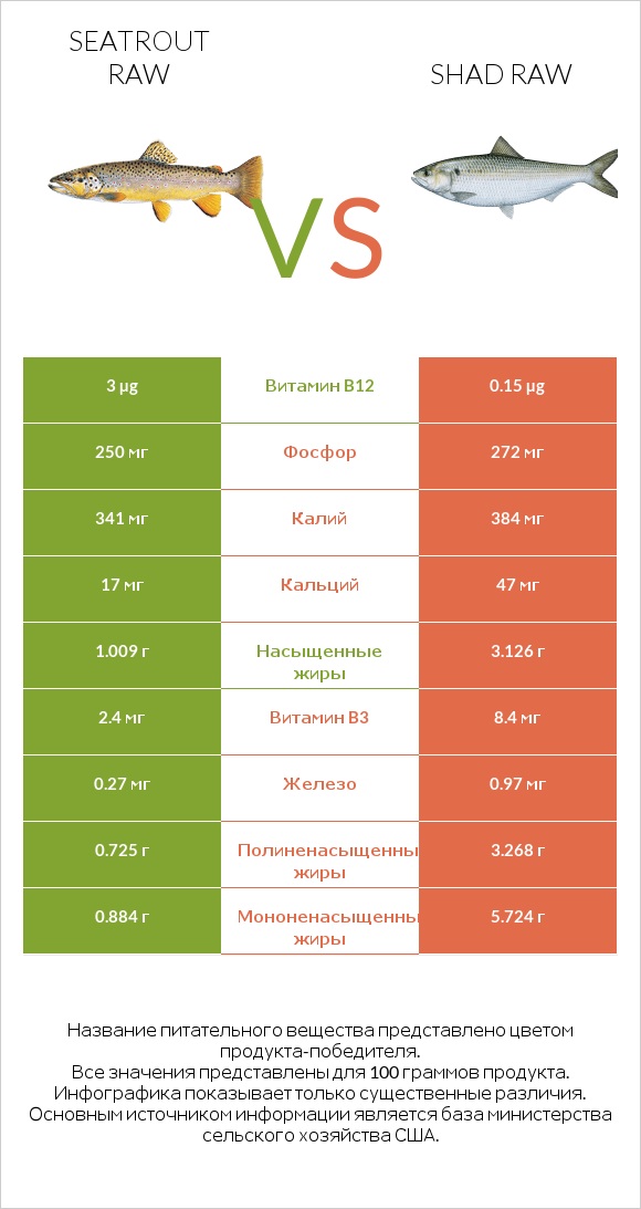 Seatrout raw vs Shad raw infographic