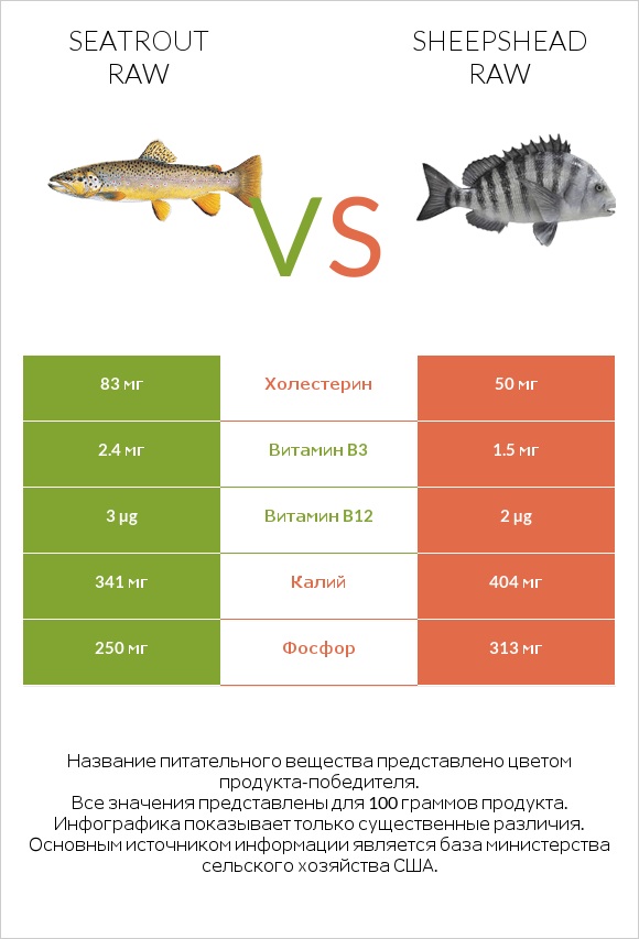 Seatrout raw vs Sheepshead raw infographic