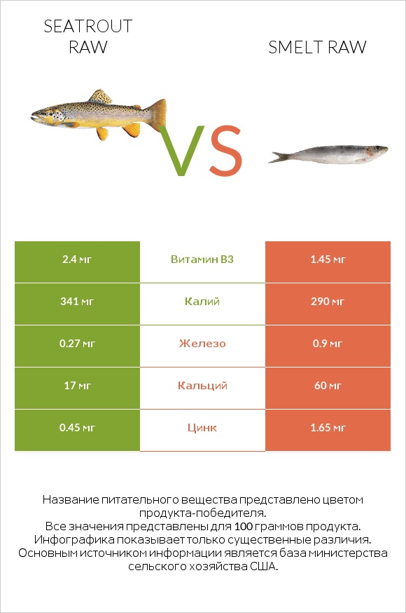 Seatrout raw vs Smelt raw infographic