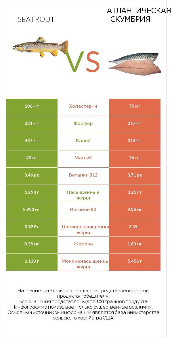 Seatrout vs Атлантическая скумбрия infographic