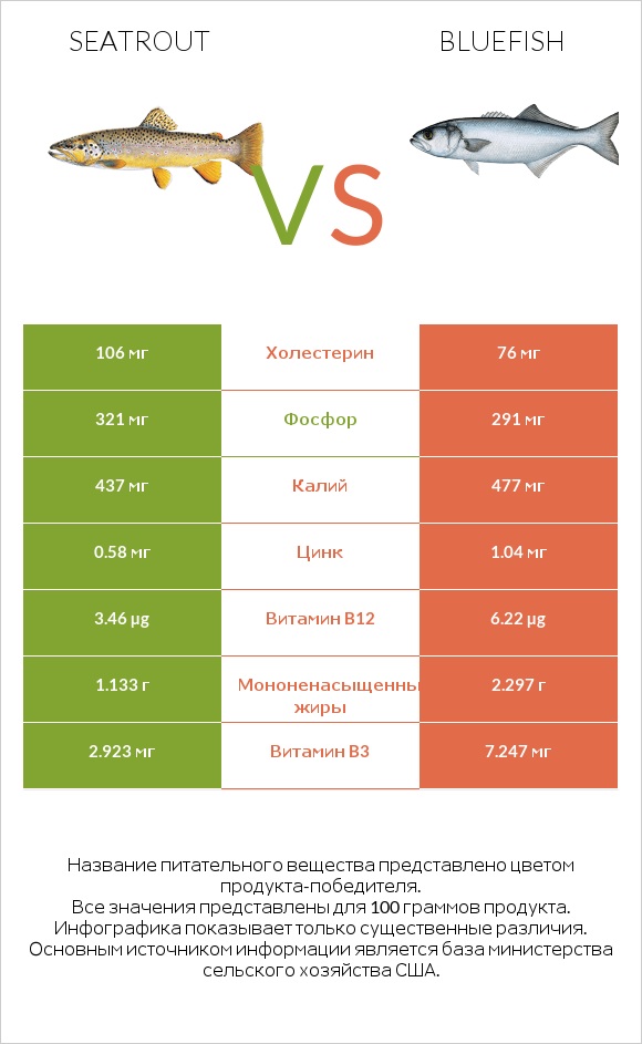 Seatrout vs Bluefish infographic