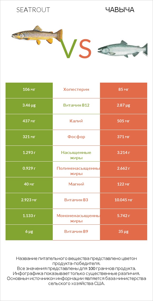 Seatrout vs Чавыча infographic