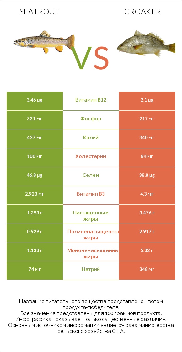 Seatrout vs Croaker infographic