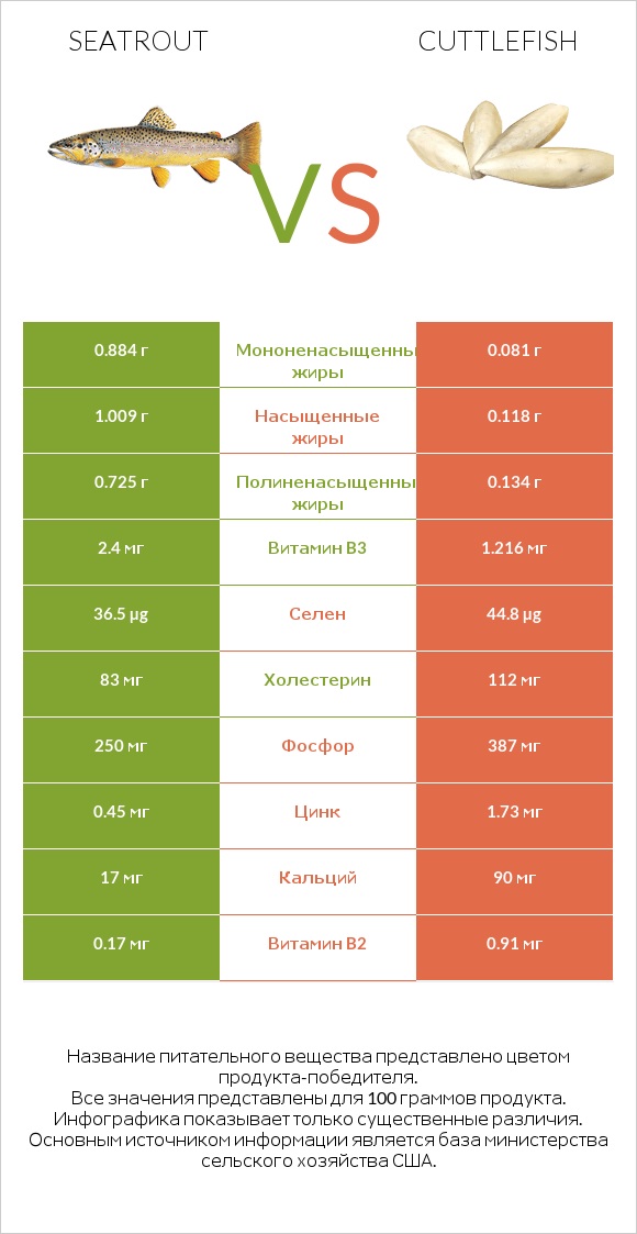 Seatrout vs Cuttlefish infographic