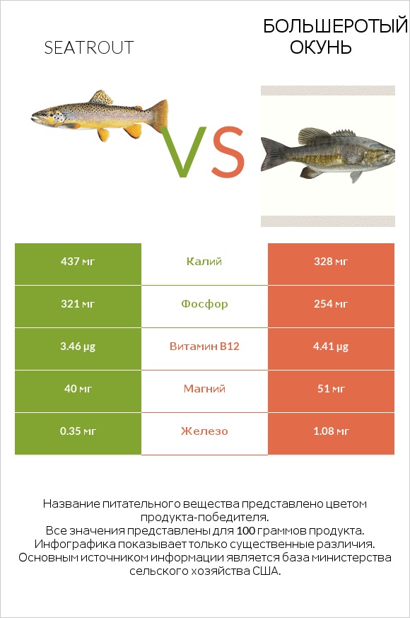 Seatrout vs Большеротый окунь infographic