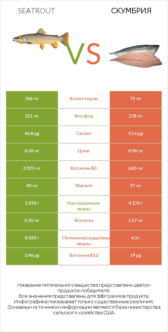 Seatrout vs Скумбрия infographic