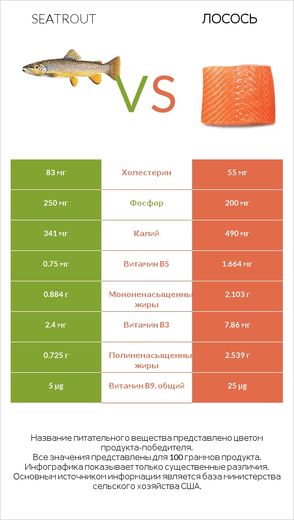 Seatrout vs Лосось infographic