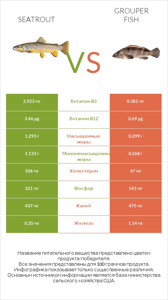 Seatrout vs Grouper fish infographic