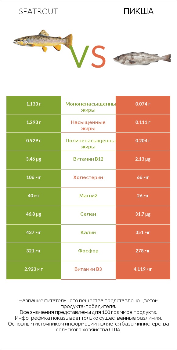 Seatrout vs Пикша infographic