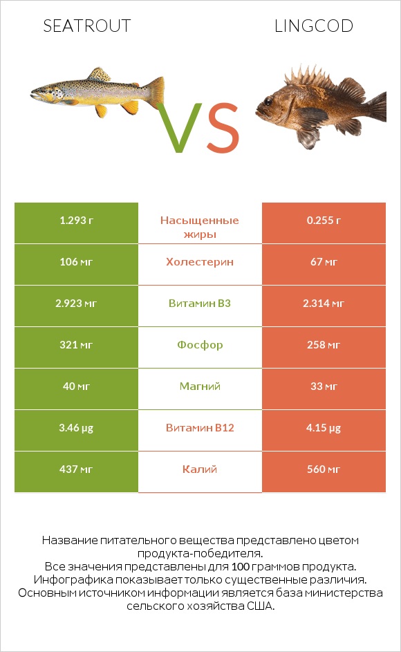 Seatrout vs Lingcod infographic