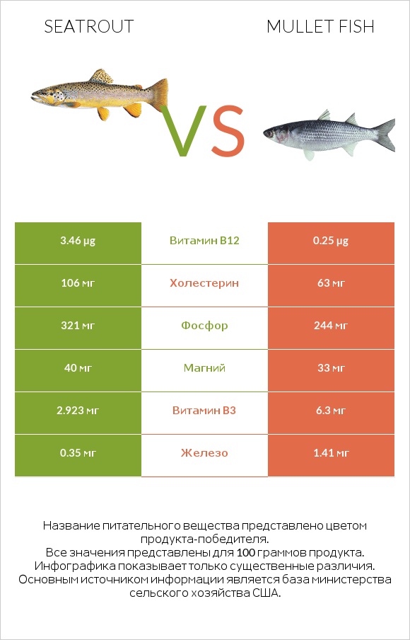 Seatrout vs Mullet fish infographic