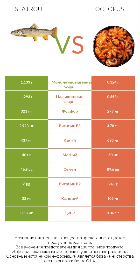 Seatrout vs Octopus infographic