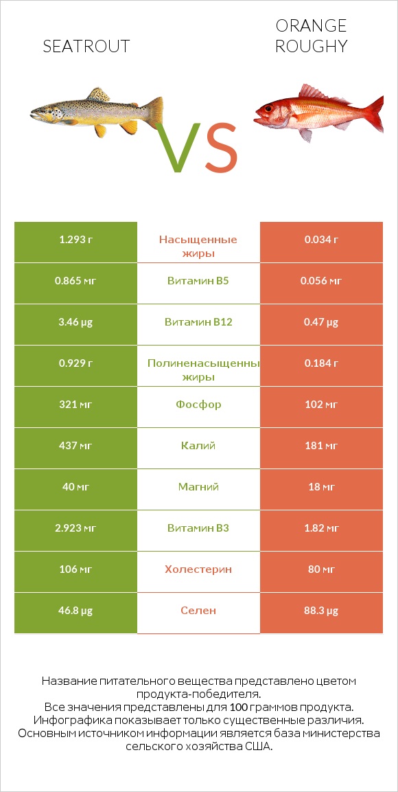 Seatrout vs Orange roughy infographic