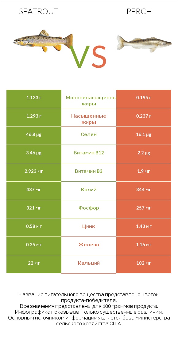 Seatrout vs Perch infographic