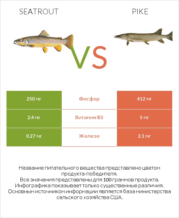Seatrout vs Pike infographic