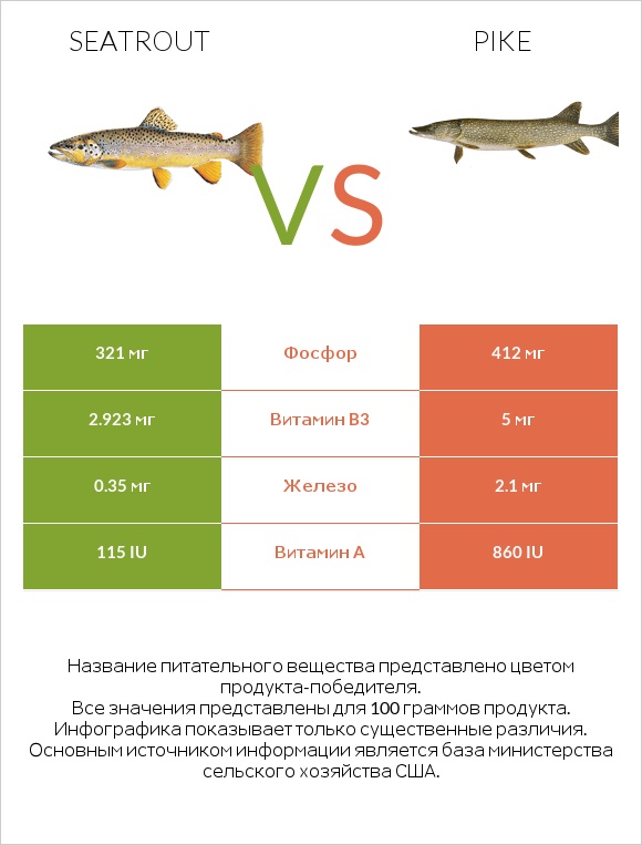 Seatrout vs Pike infographic