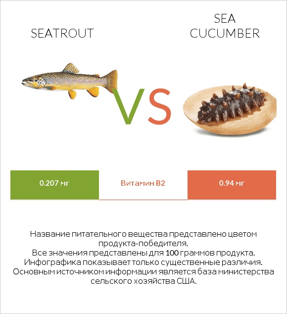 Seatrout vs Sea cucumber infographic