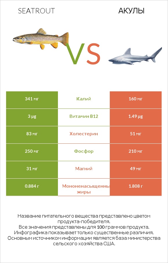 Seatrout vs Акула infographic