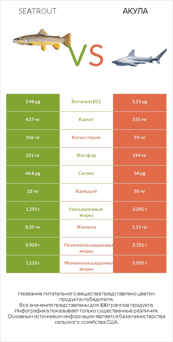 Seatrout vs Акула infographic