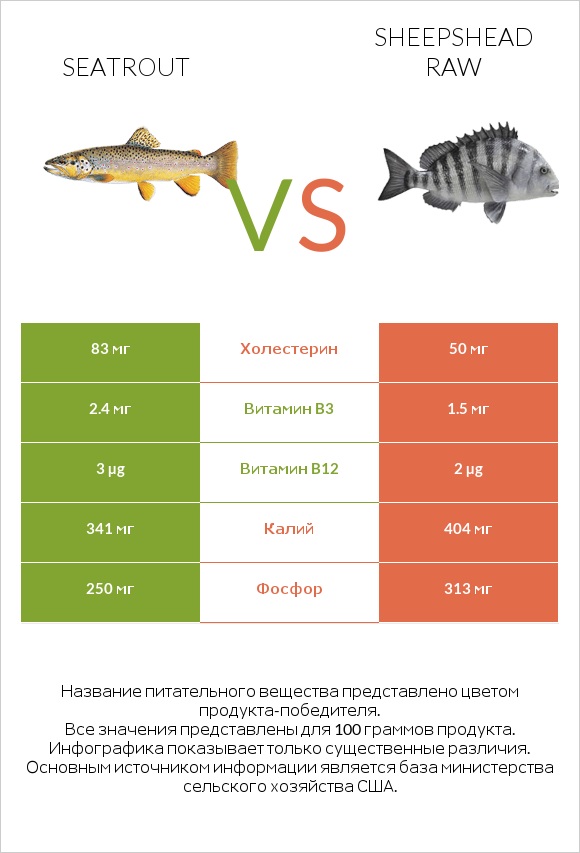Seatrout vs Sheepshead raw infographic