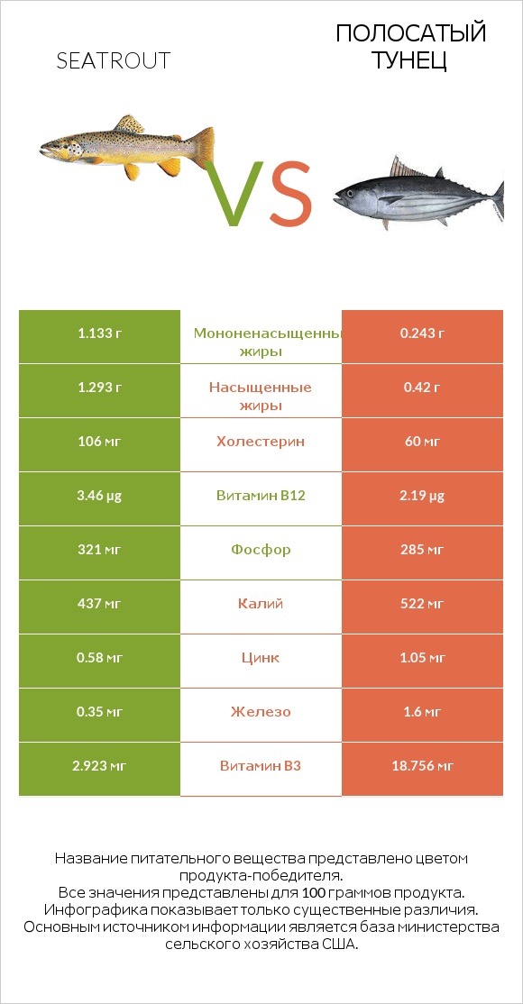 Seatrout vs Полосатый тунец infographic