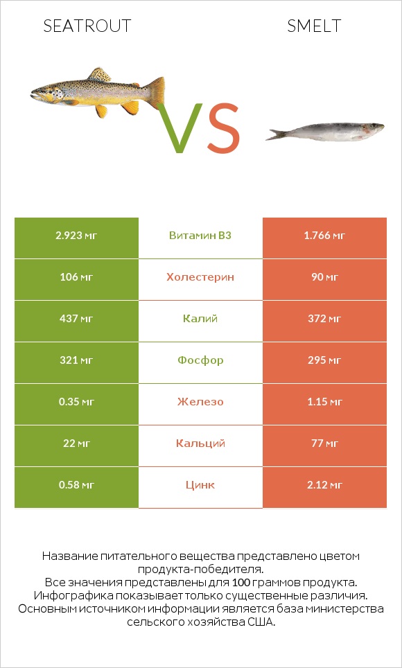 Seatrout vs Smelt infographic