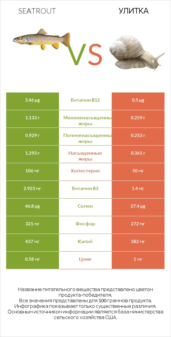 Seatrout vs Улитка infographic